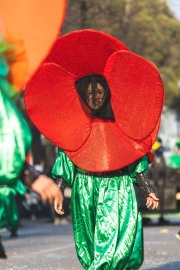 Agenzia di Comunicazione, Fotografia